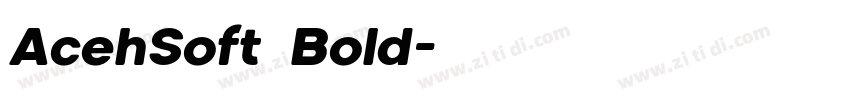 AcehSoft Bold字体转换